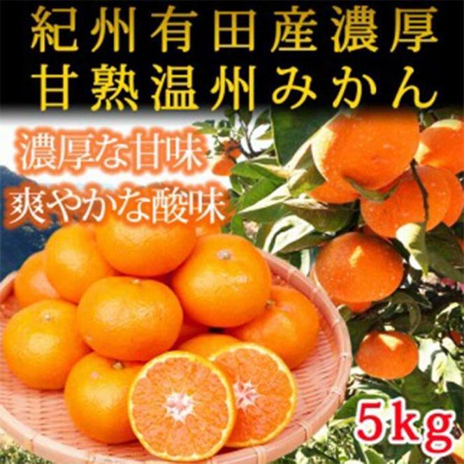 〈定期便〉【2・4・6・8・10・12月 全6回】和歌山産 旬のフルーツ お楽しみ 定期便 【魚鶴商店】◇