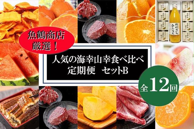 〈毎月定期便〉人気の海幸山幸食べ比べ セットB 【定期便全12回】【魚鶴商店厳選】◇