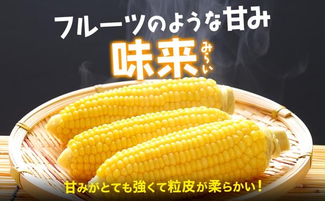 先行予約 【 2025年 発送 】北海道産 とうもろこし 味来 L～LLサイズ 20本入り トウモロコシ みらい ミライ とうきび スイート イエロー コーン 旬 新鮮 朝もぎ 農作物 甘い お取り寄せ 産地直送 送料無料