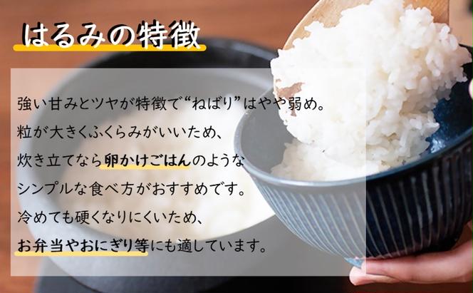 【湘南生まれのお米】神奈川県産はるみ 5kg×2 【特Aランク】精米 米 お米 白米 5キロ 2袋 10キロ 10kg 神奈川米 米の食味ランキング 常温 甘み ねばり やや弱め 玉子かけごはん 粒が大きい