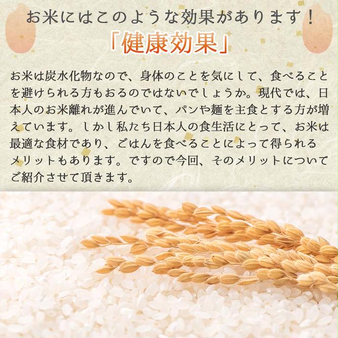 健康志向の方におすすめ【きぬむすめ】令和６年産 新米 玄米10kg（10kg×1袋）(19-42)