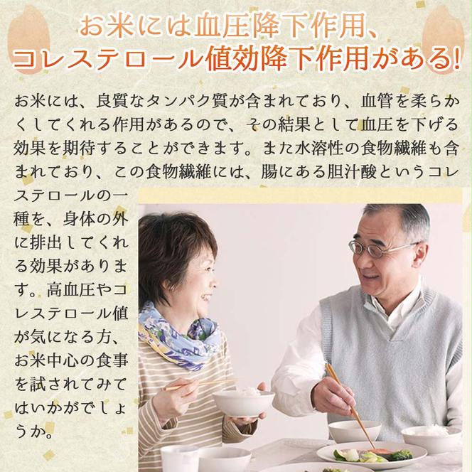 健康志向の方におすすめ【きぬむすめ】令和６年産 新米 玄米10kg（10kg×1袋）(19-42)