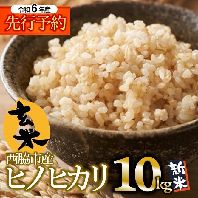 【先行予約】令和６年産 新米 ヒノヒカリ 玄米10kg（10kg×1袋）【11月上旬以降順次発送】(17-53)