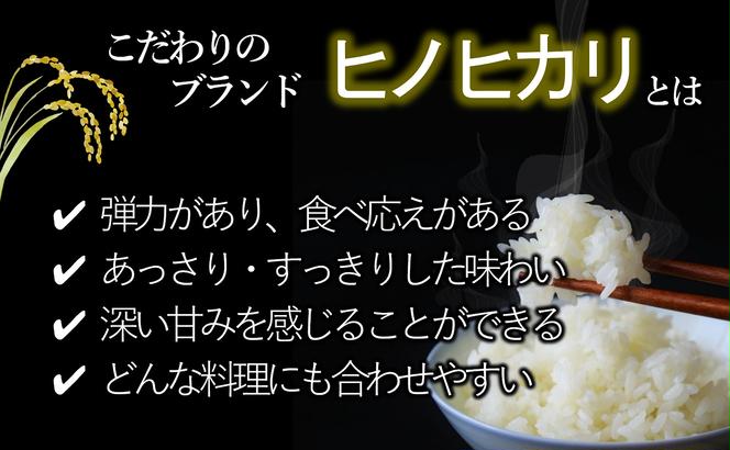 【先行予約】令和６年産 新米 ヒノヒカリ 玄米10kg（10kg×1袋）【11月上旬以降順次発送】(17-53)