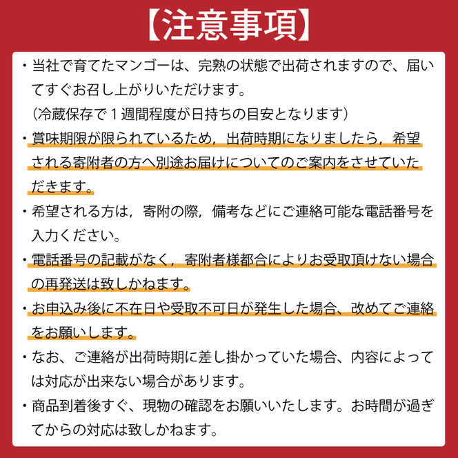 ★数量限定★マンゴー　なめがたプリンセス　プラチナ｜茨城県 行方市 ふるさと納税 マンゴー フルーツ 果物 くだもの 数量限定(EJ-6)