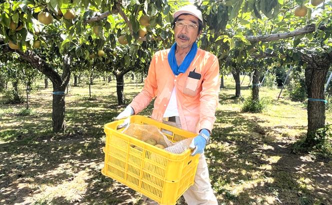 先行予約 男鹿梨 「伊藤梨園」の 南水 梨 たっぷり 約5kg 秋田県 男鹿市