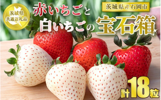 【先行予約】【茨城県共通返礼品　石岡市産】赤いちごと白いちごの宝石箱　18粒　※2024年12月初旬～2025年3月中旬頃に順次発送予定