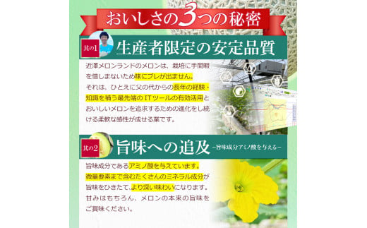 先行予約 メロン １玉入（約1.4kg～1.8kg）青肉 2025年春発送 期間限定 メロン めろん マスクメロン 舐瓜 果物 くだもの フルーツ デザート 旬 ハウス栽培 常温配送