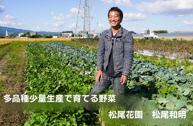 CC001_かずちゃんの朝採り新鮮野菜セット【みやき町産朝採り野菜をお届け】