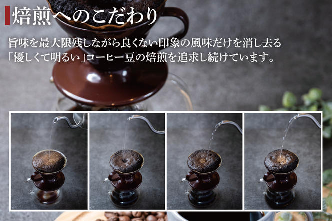 3か月定期便　2024年度限定　ふるさと納税専用コーヒー豆　KASHIMA 12 アロマ・ビターブレンド飲み比べセット　挽き豆 3kg(500g×6回発送)（KV-150）