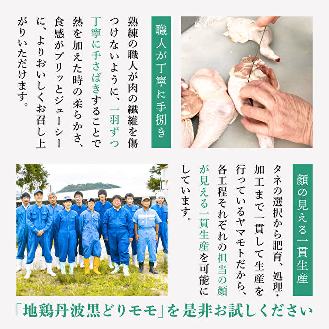 3ヶ月 定期便 地鶏 丹波 黒どり ムネ 2kg 鶏肉 冷凍 丹波山本 高タンパク低カロリー たんぱく質 ボリューム 筋トレ チキン 蒸し鶏