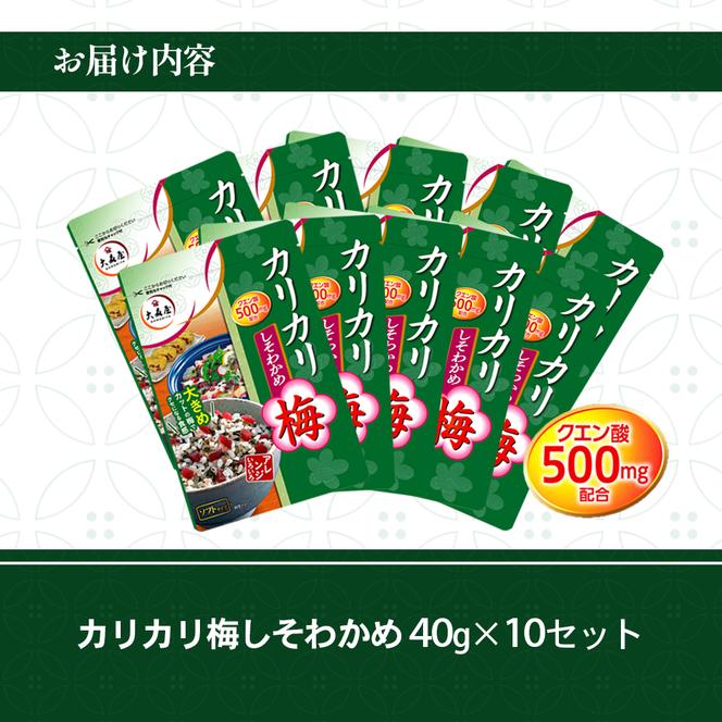 大森屋　カリカリ梅しそわかめ40g×10セット