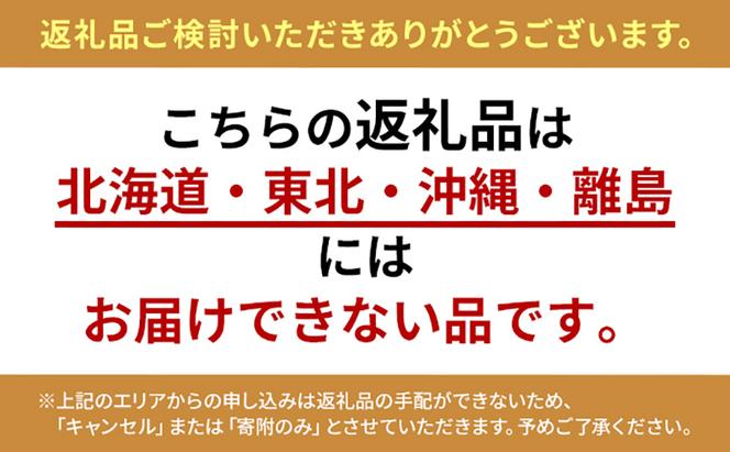 小豆島のオリーブ苗木 2本セット（中）