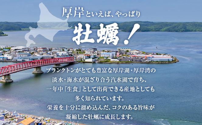 厚岸産 『 マルえもん 』『 カキえもん 』『 弁天かき 』3種 食べ比べ セット  北海道 牡蠣 カキ かき 生食 生食用 生牡蠣 魚貝類 