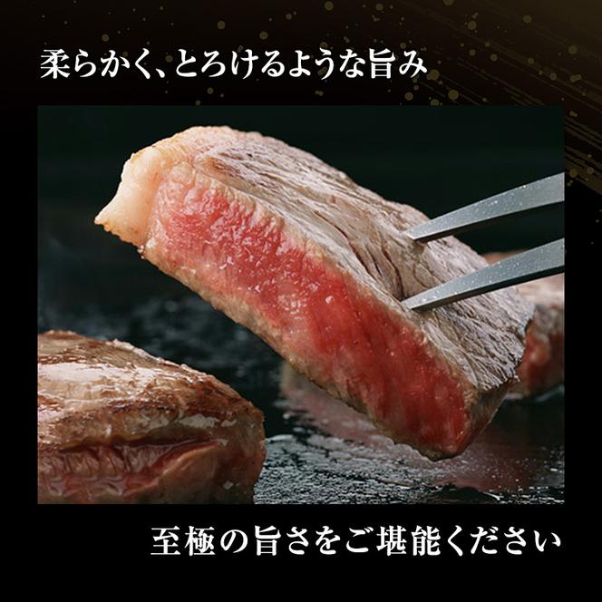 牛肉 飛騨牛 サーロイン ステーキ セット 600ｇ （ 1枚 約300ｇ × 2枚 ） 黒毛和牛 Ａ5 美味しい お肉 牛 肉 和牛 サーロインステーキ 【岐阜県池田町】