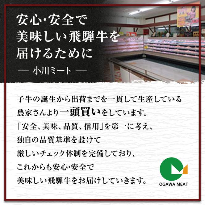 牛肉 飛騨牛 サーロイン ステーキ セット 600ｇ （ 1枚 約300ｇ × 2枚 ） 黒毛和牛 Ａ5 美味しい お肉 牛 肉 和牛 サーロインステーキ 【岐阜県池田町】