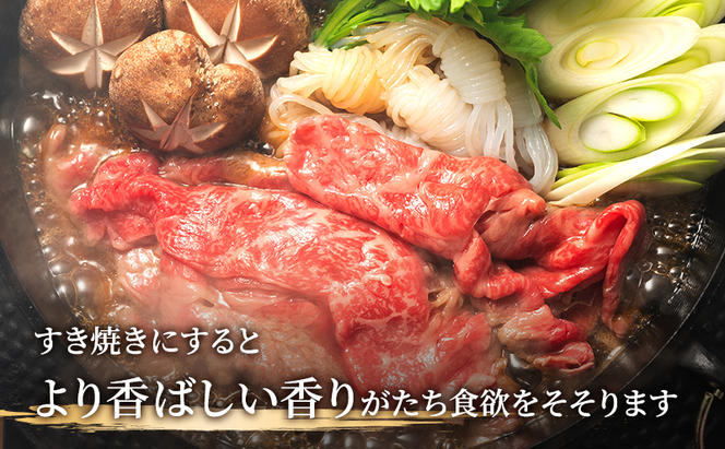 飛騨牛 牛肉 すき焼き しゃぶしゃぶ バラ スライス 700g A5 和牛 【岐阜県瑞穂市】