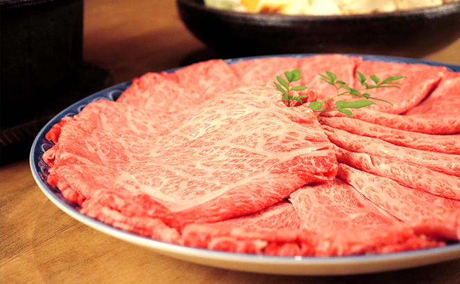 飛騨牛 牛肉 すき焼き しゃぶしゃぶ 肩ロース  スライス 600g A5 和牛【岐阜県瑞穂市】