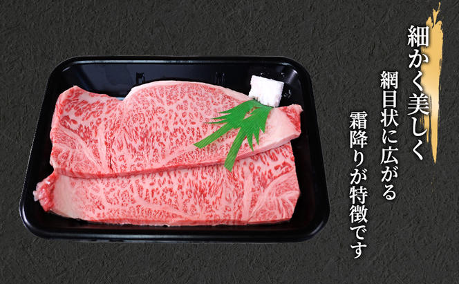 飛騨牛 牛肉 肉 ステーキ サーロイン 400g 200g×2枚 A5 和牛 【岐阜県瑞穂市】