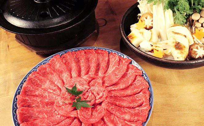 飛騨牛 牛肉 すき焼き しゃぶしゃぶ もも肉 スライス 600g A5 和牛 モモ肉 【岐阜県瑞穂市】