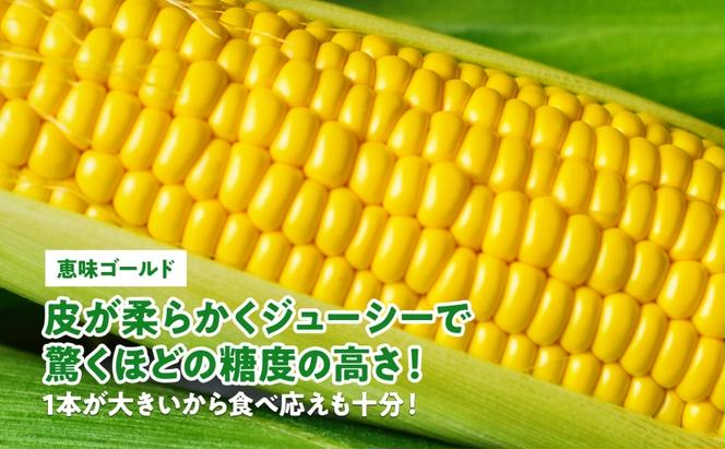  北海道産 スイート コーン めぐみゴールド 2Lサイズ 10本  先行受付 8月上旬～末頃にお届け とうもろこし 恵味 めぐみ トウモロコシ 旬 完熟 朝もぎ 野菜 産地直送 お取り寄せ 北海道 丸田農園 送料無料 洞爺湖