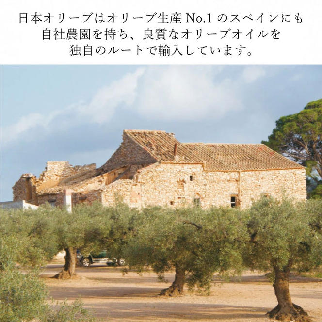 【予約受付】 定期便 6ヶ月 エキストラバージン オリーブオイル 大容量 5L ふるさと納税限定品