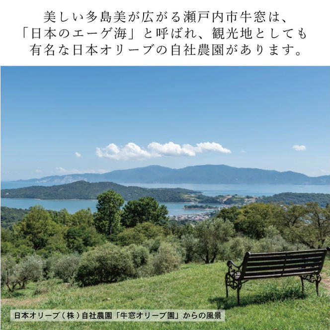 【予約受付】 定期便 6ヶ月 エキストラバージン オリーブオイル 大容量 5L ふるさと納税限定品