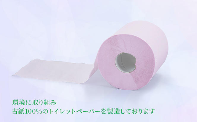 トイレットペーパー かぐやひめ シングル 70m 計96個 高評価 再生紙 芯 備蓄 保存 災害 防災 備蓄品 備蓄用 トイペ トイレ 日用品 消耗品 エンボス ソフト シャワートイレ トイレット ペーパー 岐阜 岐阜県 瑞穂市