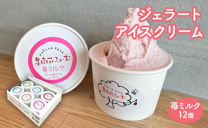 ジェラート いちごミルク 12個 アイス アイスクリーム スイーツ お菓子 菓子 おやつ いちごみるく いちご 苺 ミルク 兵庫県 加西市 