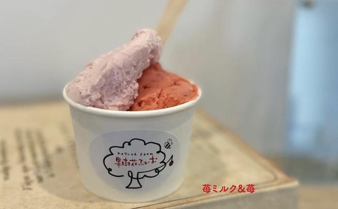 ジェラート いちごミルク 12個 アイス アイスクリーム スイーツ お菓子 菓子 おやつ いちごみるく いちご 苺 ミルク 兵庫県 加西市 