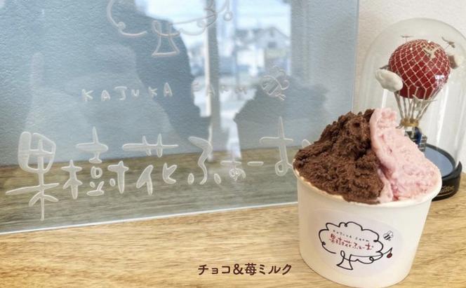 ジェラート チョコ 6個 アイス アイスクリーム スイーツ お菓子 菓子 おやつ 兵庫県 加西市 