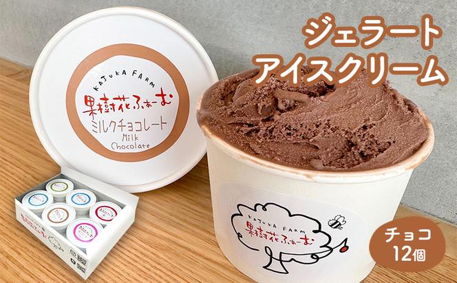 ジェラート チョコ 12個 アイス アイスクリーム スイーツ お菓子 菓子 おやつ 兵庫県 加西市 