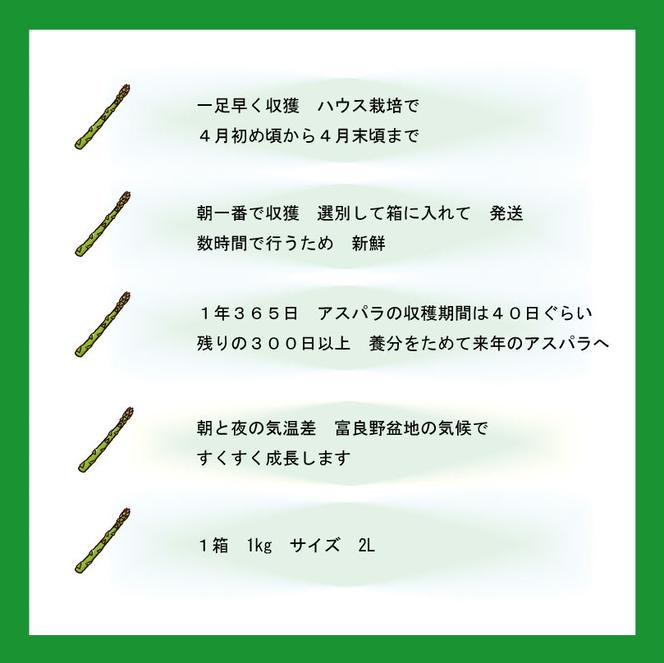 【2025年先行受付】ふらの産 グリーンアスパラ1kg［2Lサイズ］ハウス栽培 富良野 北海道 野菜 アスパラ 朝採り