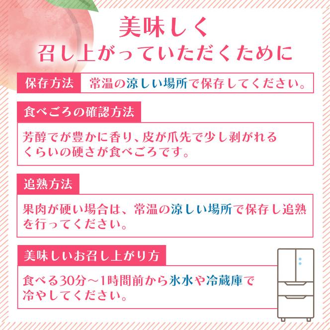 桃 2025年 先行予約 ご家庭用 白桃（晩生種）5～6玉 合計約1.5kg もも モモ 岡山県産 国産 フルーツ 果物 ギフト