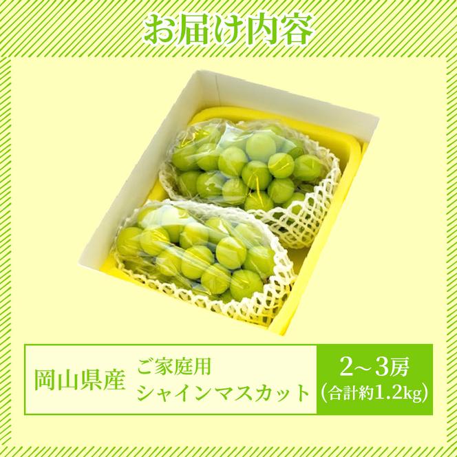 ぶどう 2025年 先行予約 ご家庭用 シャイン マスカット 2～3房 合計約1.2kg ブドウ 葡萄  岡山県産 国産 フルーツ 果物 ギフト