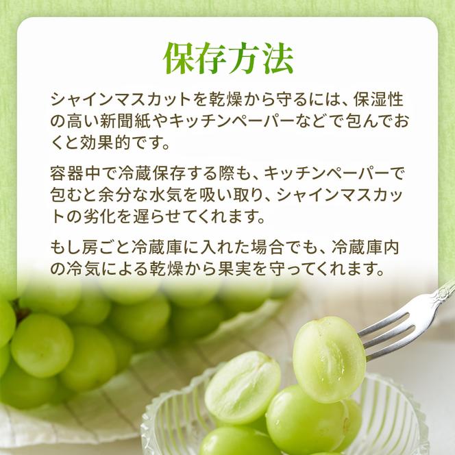 ぶどう 2025年 先行予約 シャイン マスカット 晴王 3房～6房 約2kg ブドウ 葡萄  岡山県産 国産 フルーツ 果物 ギフト