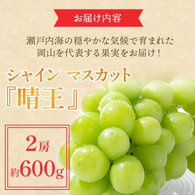 ぶどう 2024年 先行予約 シャイン マスカット 晴王 約600g×2房 ブドウ 葡萄  岡山県産 国産 フルーツ 果物 ギフト