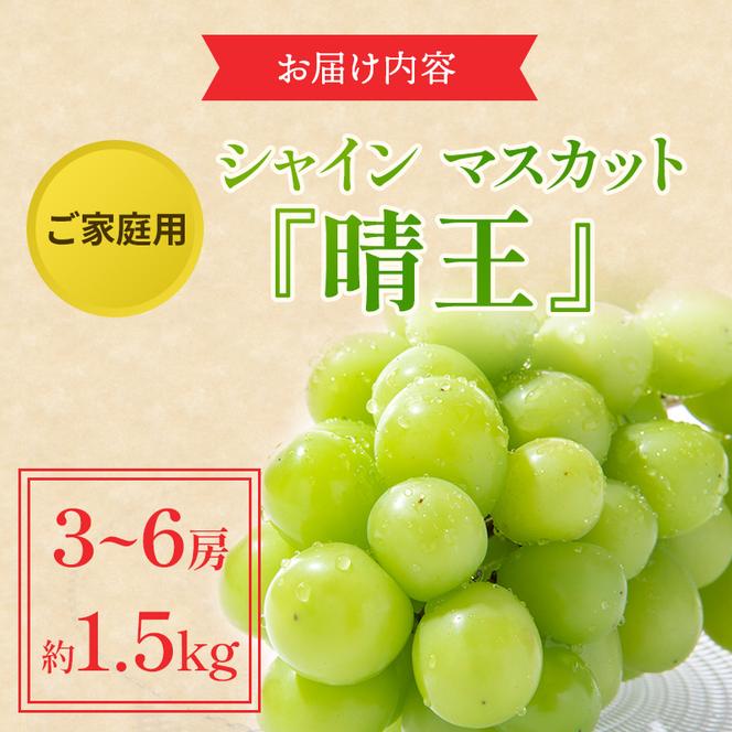 ぶどう 2025年 先行予約 ご家庭用 シャイン マスカット 晴王 3～6房 約1.5kg ブドウ 葡萄  岡山県産 国産 フルーツ 果物