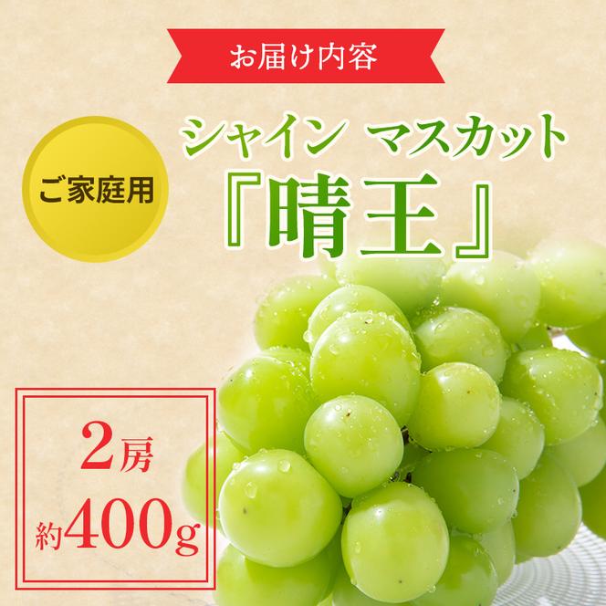 ぶどう 2025年 先行予約 ご家庭用 シャイン マスカット 晴王 約400g×2房 ブドウ 葡萄  岡山県産 国産 フルーツ 果物