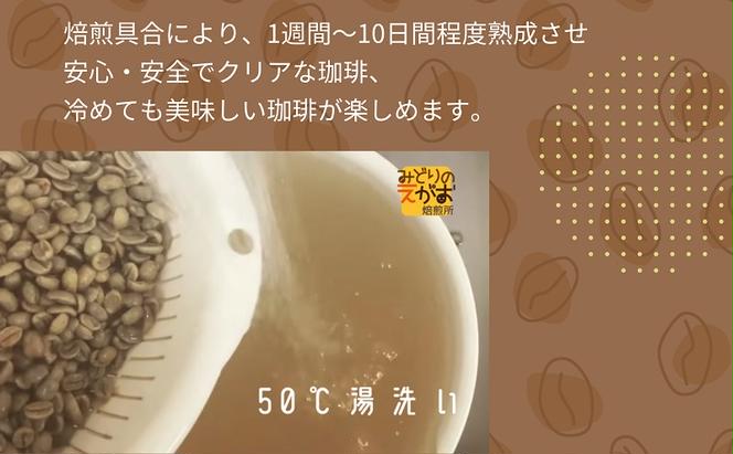 50度お湯洗い焙煎豆　ウガンダ Bukonzo 中やや深め焙煎