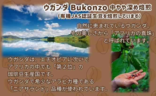 50度お湯洗い焙煎豆　ウガンダ Bukonzo 中やや深め焙煎