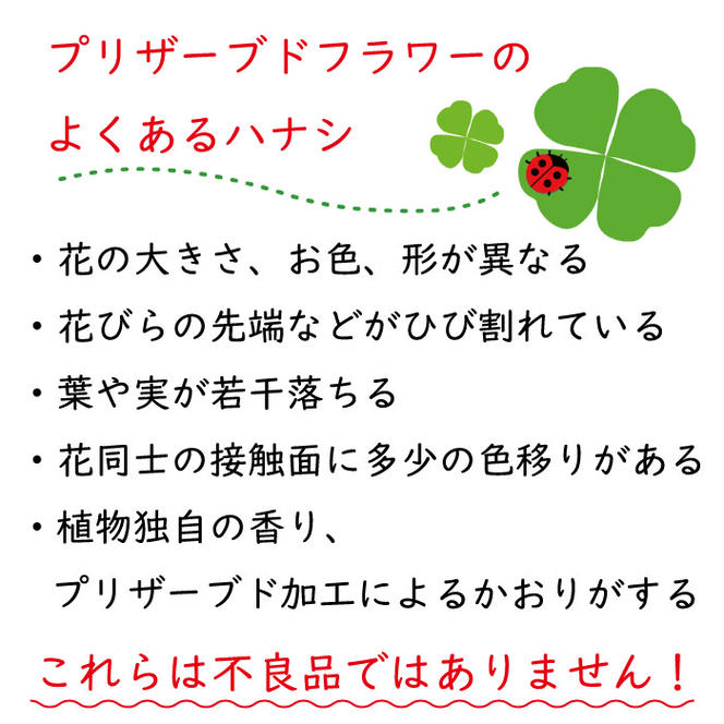 FH018 _プリーツ 優しい色合いのプリザーブドフラワーアレンジ敬老の日　孫の日 演奏会　発表会 花 プレゼント 2024 誕生日 お見舞い お祝い 記念日