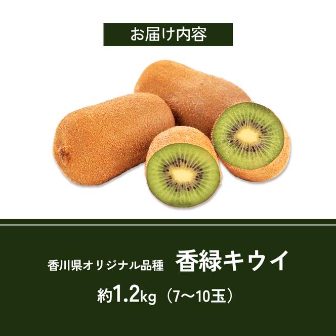 香緑キウイ　約1.2kg