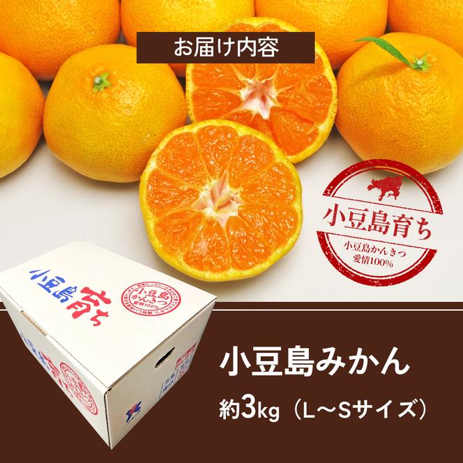 小豆島みかん　約3kg