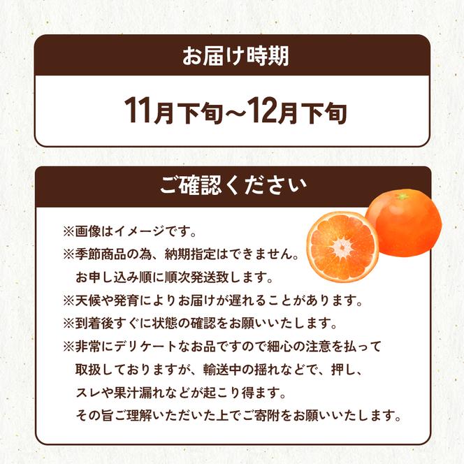 金時紅みかん　約2.5kg化粧箱