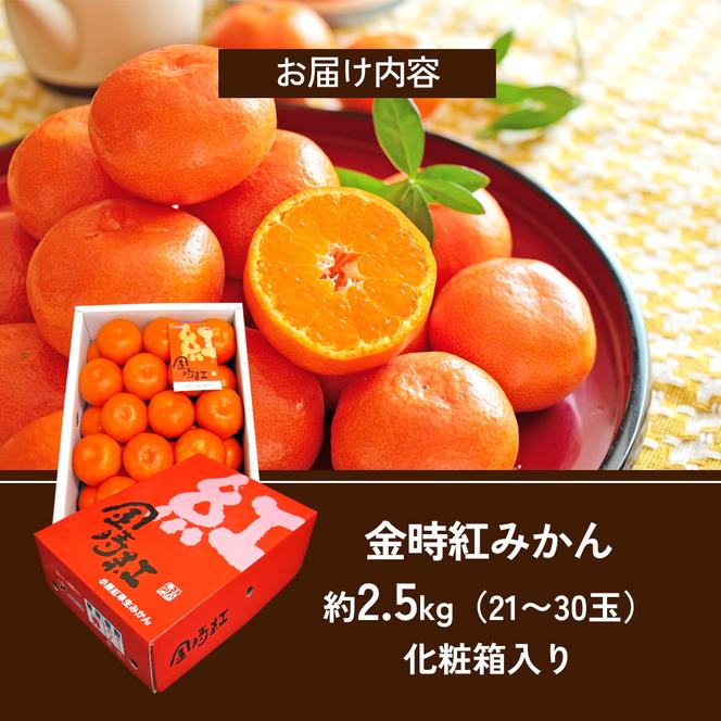 金時紅みかん　約2.5kg化粧箱