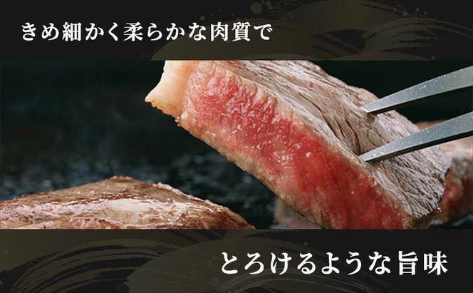 【定期便6ヶ月】牛肉 飛騨牛 サーロイン ステーキ セット 400g（1枚 約200g×2枚） 黒毛和牛 A5 美味しい お肉 牛 肉 和牛 サーロインステーキ 【岐阜県瑞穂市】