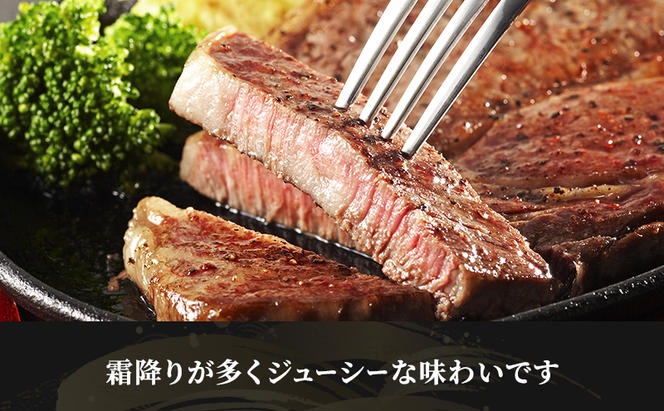 【定期便6ヶ月】牛肉 飛騨牛 サーロイン ステーキ セット 400g（1枚 約200g×2枚） 黒毛和牛 A5 美味しい お肉 牛 肉 和牛 サーロインステーキ 【岐阜県瑞穂市】