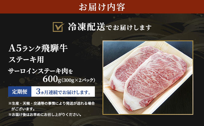 【定期便3ヶ月】牛肉 飛騨牛 サーロイン ステーキ セット 600g（1枚 約300g×2枚） 黒毛和牛 A5 美味しい お肉 牛 肉 和牛 サーロインステーキ 【岐阜県瑞穂市】