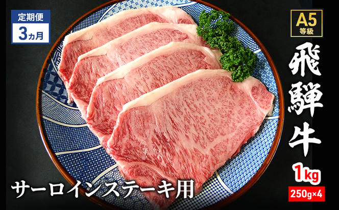 【定期便3ヶ月】牛肉 飛騨牛 サーロイン ステーキ セット 1kg（1枚 約250g×4枚 ） 黒毛和牛 A5 美味しい お肉 牛 肉 和牛 サーロインステーキ 【岐阜県瑞穂市】